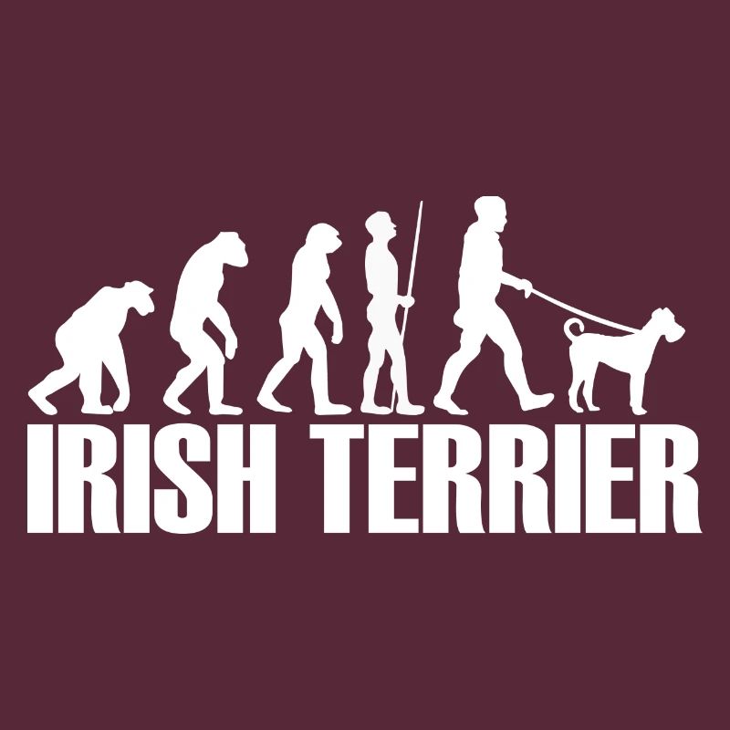 Irish Terrier Dogs Dog Owner Evolution