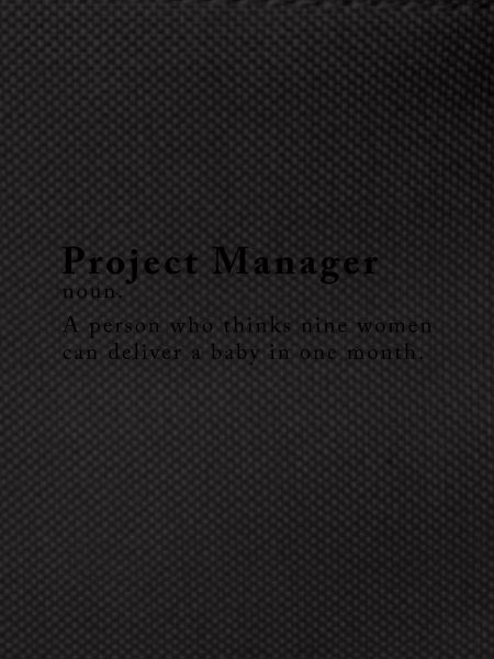 Projektleiter Software Entwicklung Programmierer