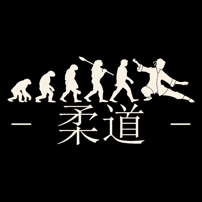 évolution karaté. arts martiaux. Idée Cadeau.Japon