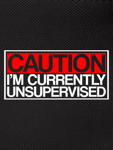 Caution I'm Currently Unsupervised 3