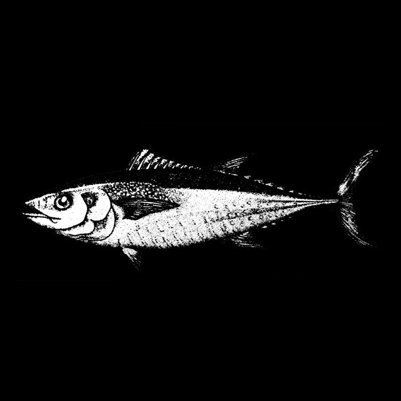 Thunfisch