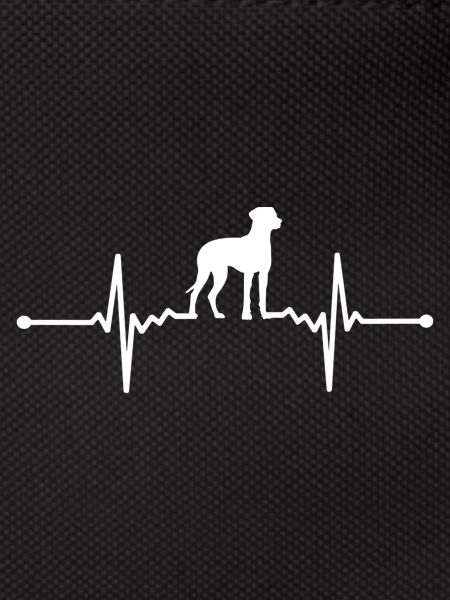 Rhodesian Ridgeback - Rhodesian Ridgeback