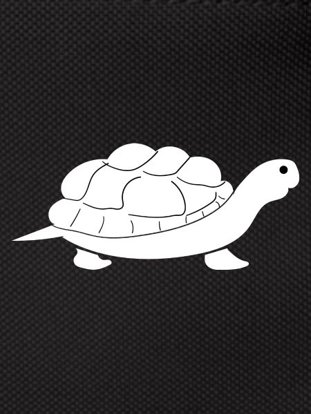 Turtle Turtle