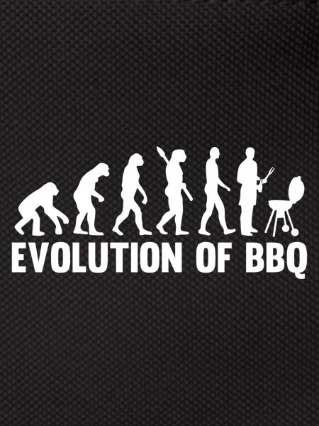 BBQ Grill Evolution Of BBQ