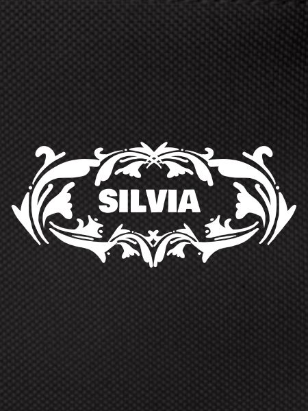 Ms. Silvia
