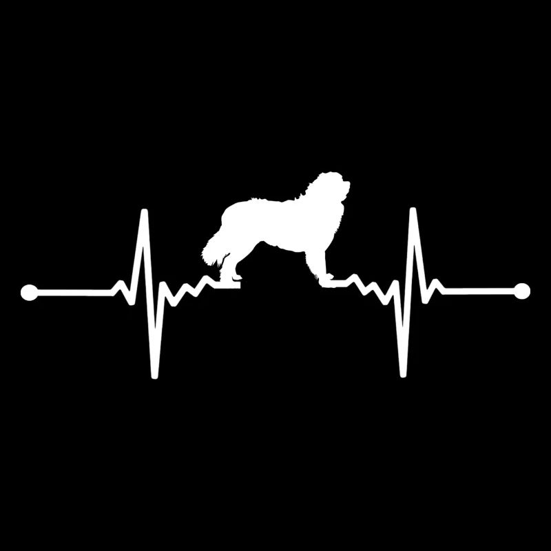 Berner Sennenhund - Berner Sennenhunde