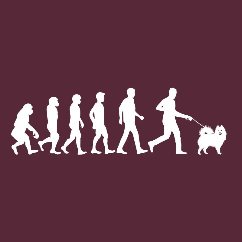 Samoyed Hund Evolution Hundebesitzer