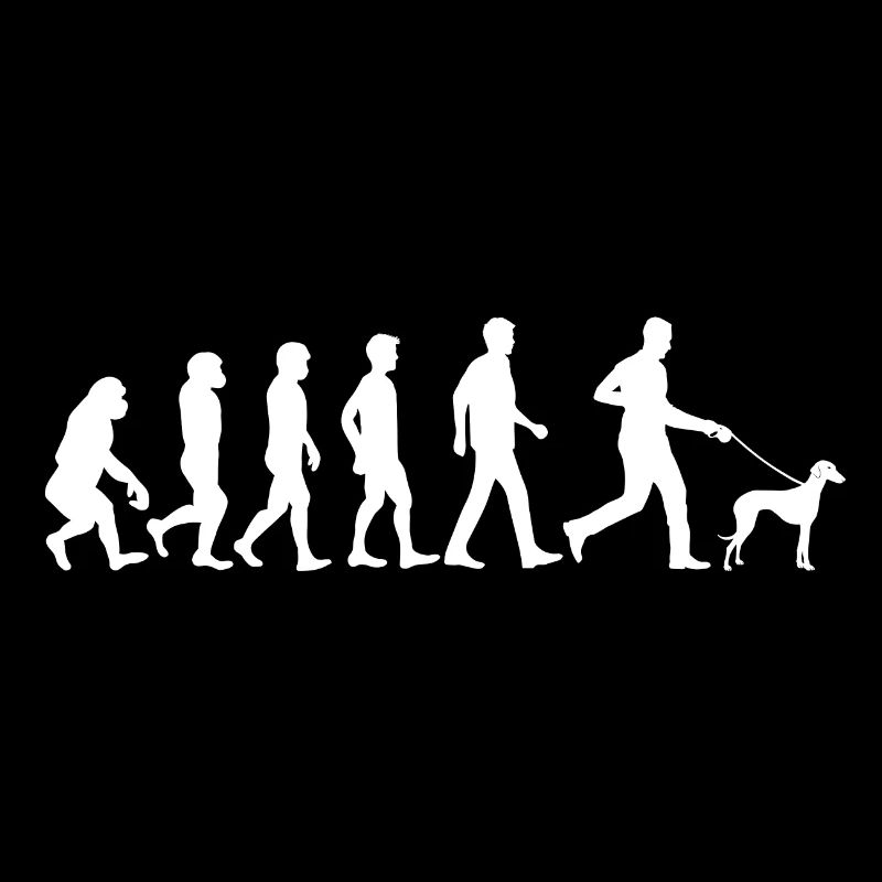 Sloughi Dog Evolution Propriétaire de chien