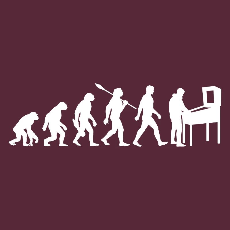 Evolution - Flipper - Flipper - Automatique