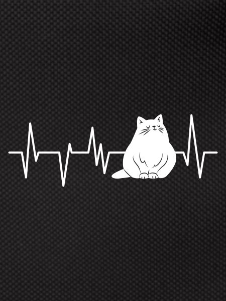 Cat Cat Cats