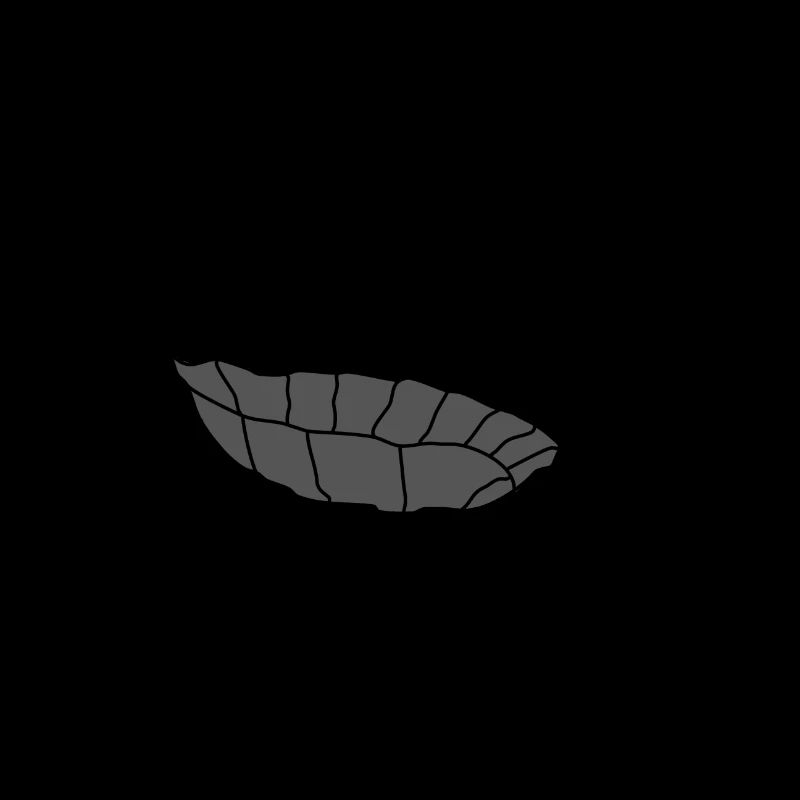 Turtle Lazy Fail Challenge Life