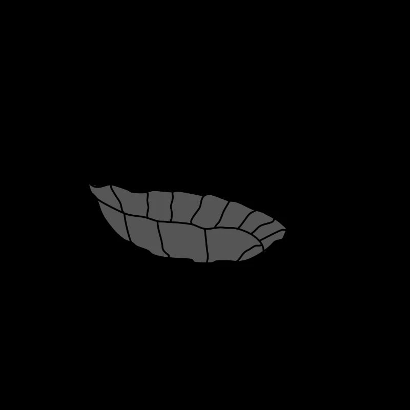 Turtle Lazy Fail Challenge Life