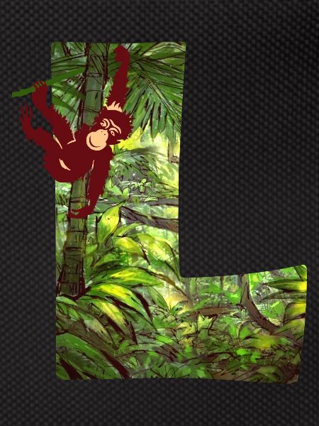 jungle avec affe l