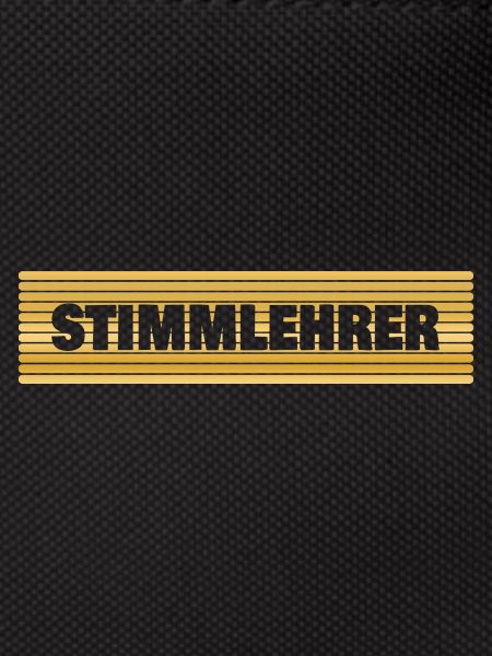 Beruf Stimmlehrer