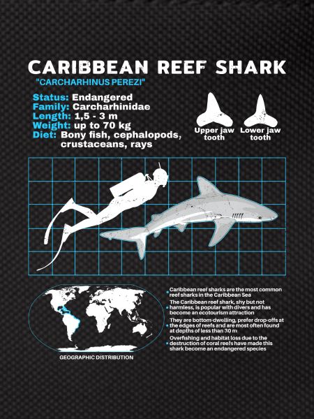 Caribbean Reef Shark Datasheet