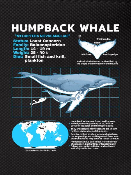 Humpback Whale Datasheet