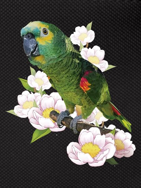 The blue-fronted amazon