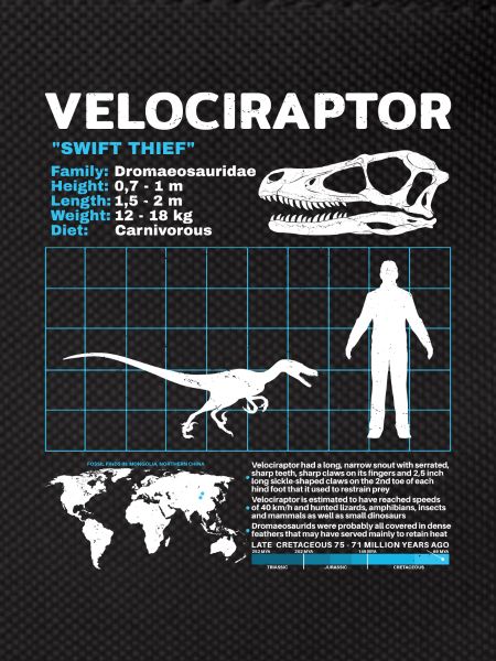 Velociraptor Fact Sheet
