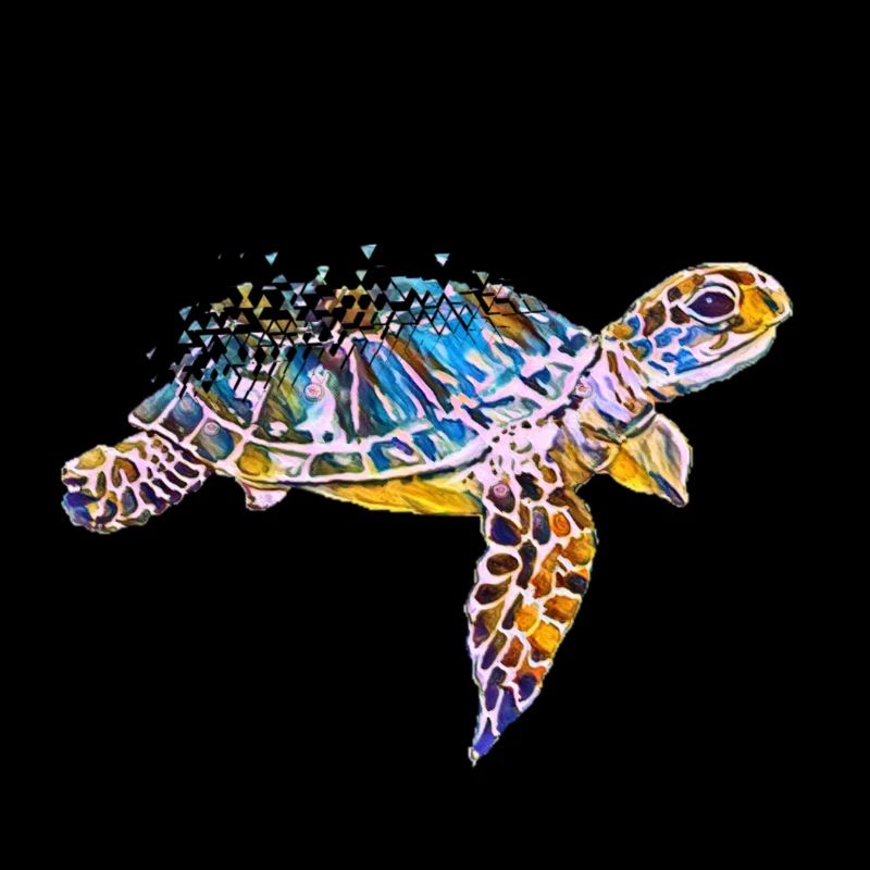 turtle