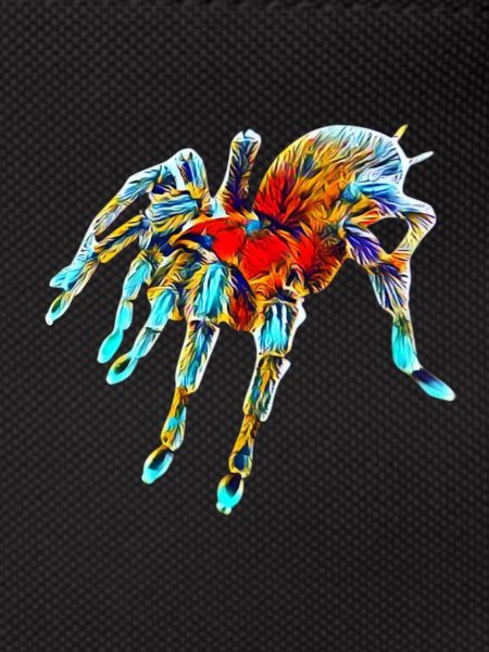Tarantula