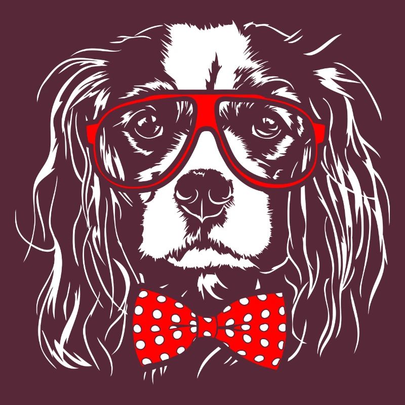 CAVALIER KING CHARLES SPANIEL Junge Wilsigns Hunde
