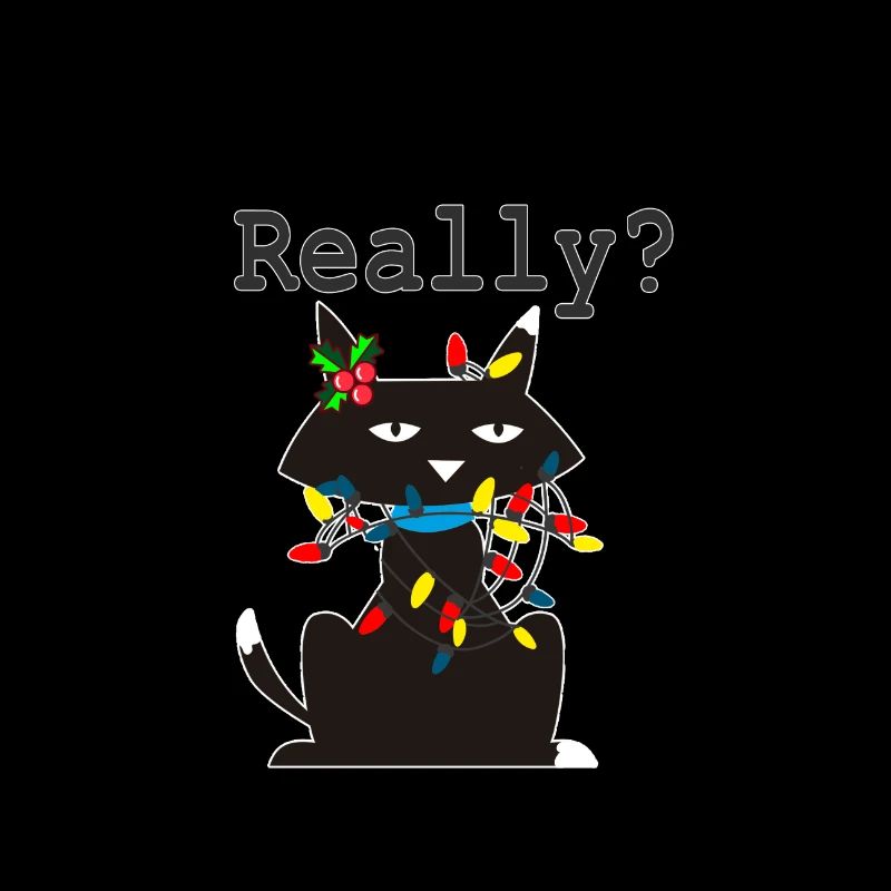 Chat de noel