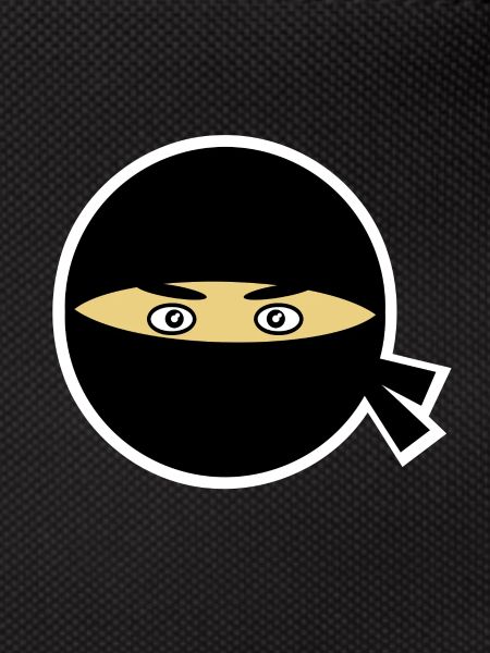 Ninja head