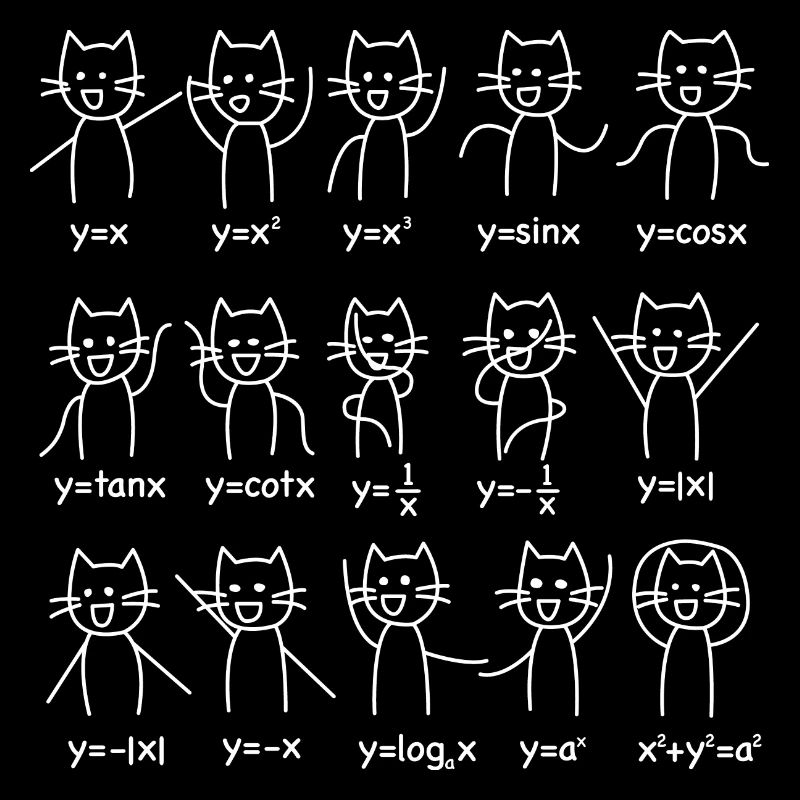 Mathématiques Algebra fonctions danse chat cadeau