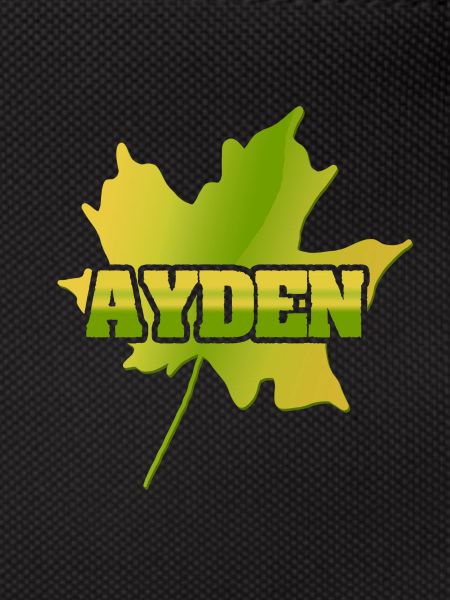 Gift for Ayden