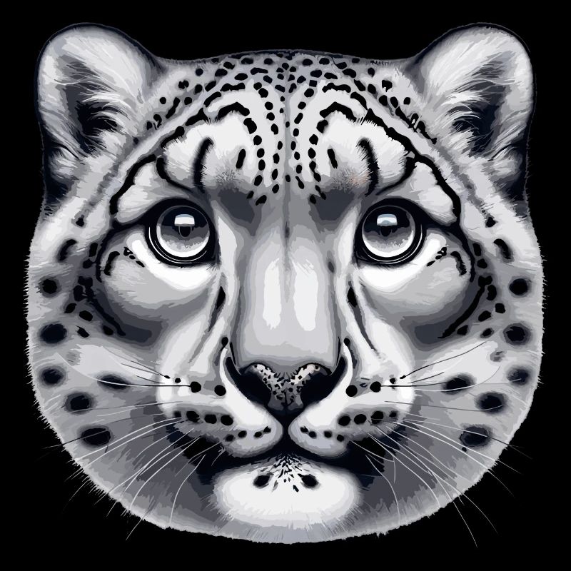 Snow Leopard Leopard White Leopard