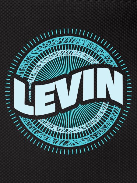 Levin gift idea