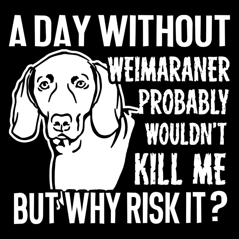 A Day Without Weimaraner