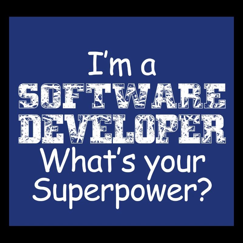 Software Developer