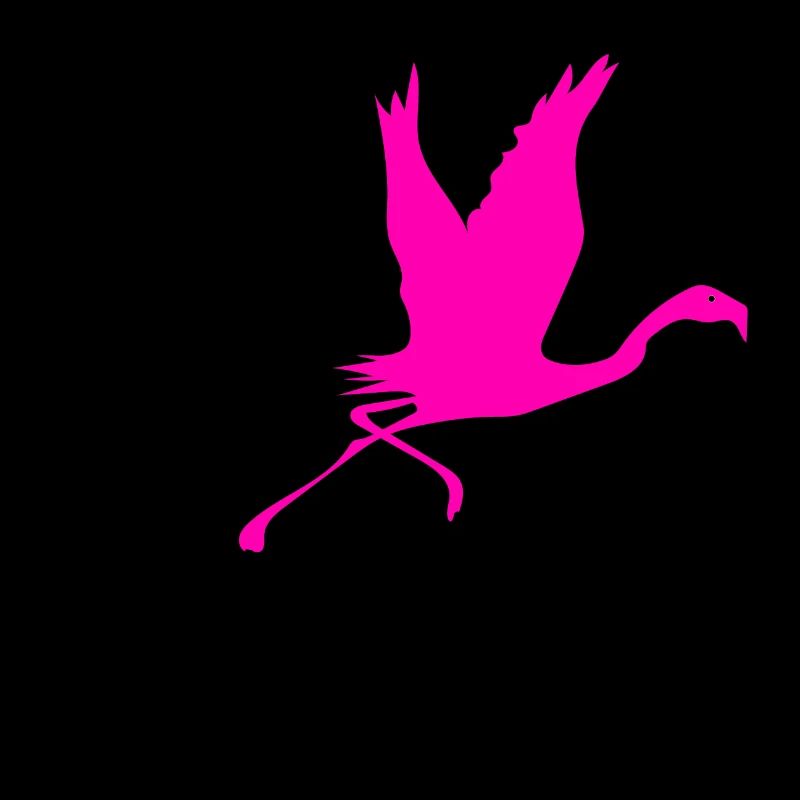 Flamingos Flamingo