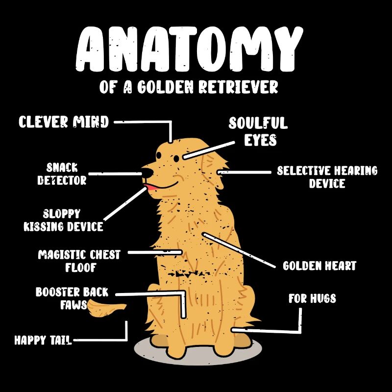 Golden Retriver Hundebesitzer Geschenk