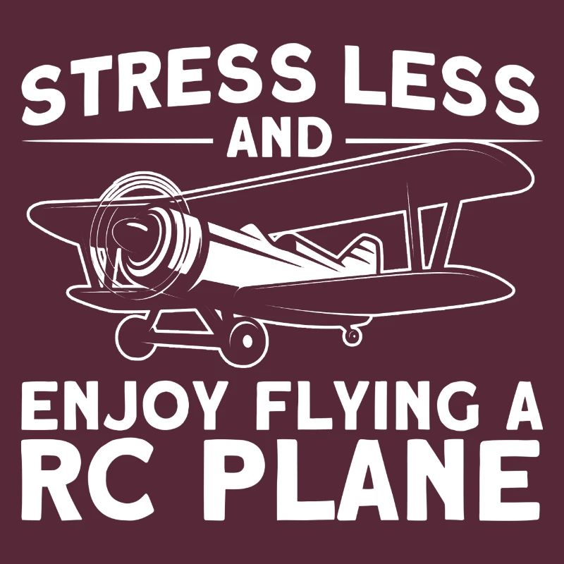 Model Airplane Airplane Model Flying Gift