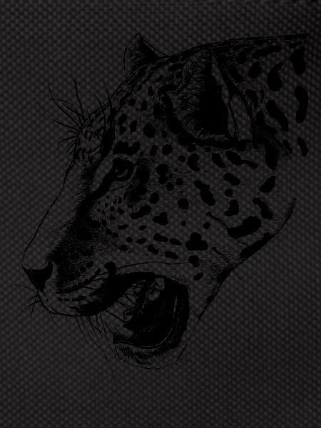 leopard