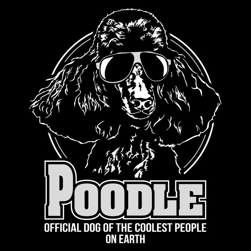 Caniche gens les plus cool