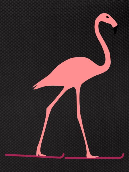 Flamingo skis