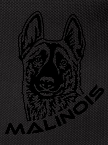 424 Malinois
