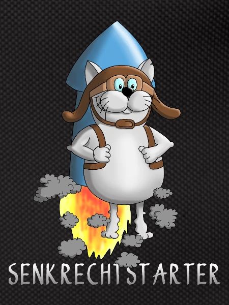 Funny rocket - take off - takeoff