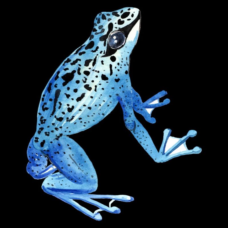 grenouille
