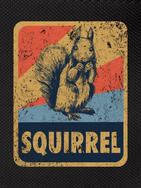 squirrel