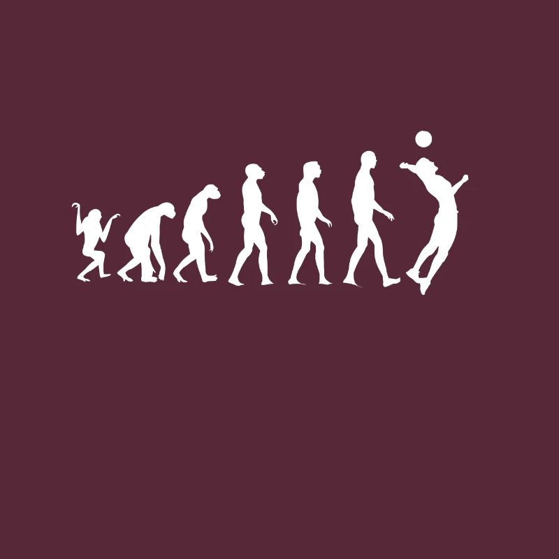 Volleyball Evolution