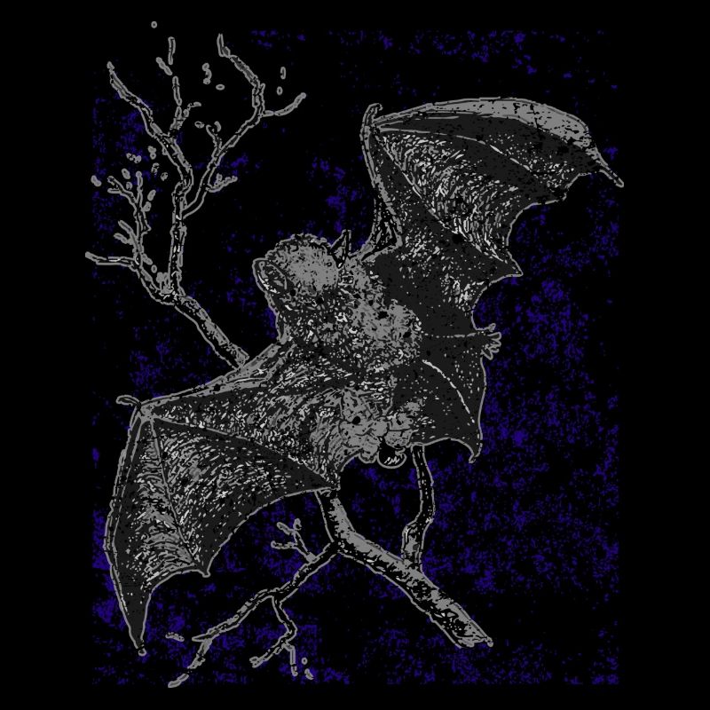 Fledermaus Vampir
