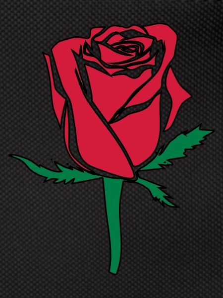 rose flower