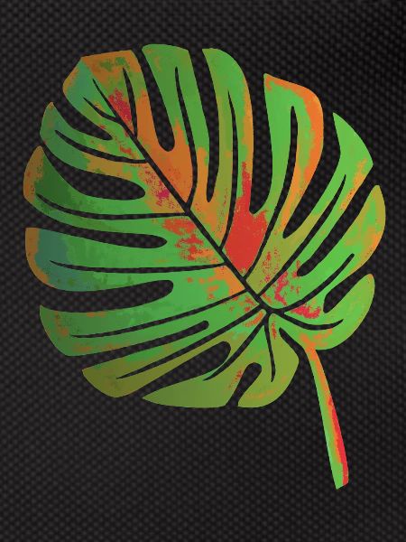 Monstera leaf