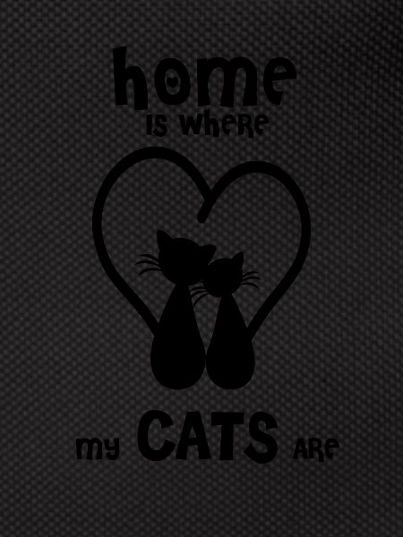 TWO CATS