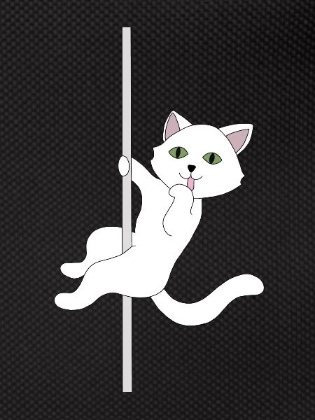 Cat pole dance
