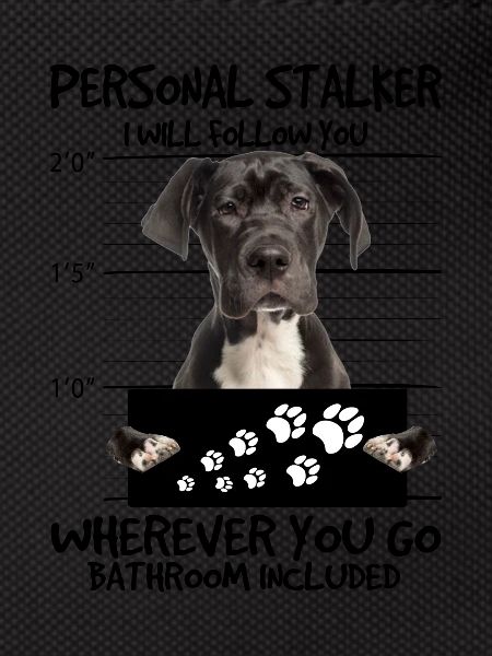 German Mastiff